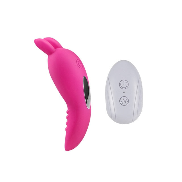 Wireless Remote Control Vibrator 10 Speed Virating Clitoral Vaginal Stimulator Wearable Panties Vibrating Egg Sex Toys for Women